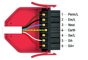 DALI + Maintained emergency luminaire lead wiring