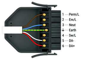 DALI Luminaire lead wiring diagram