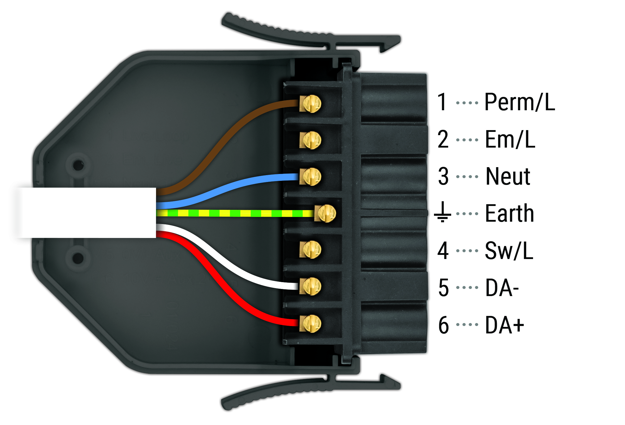DALI Luminaire lead wiring diagram