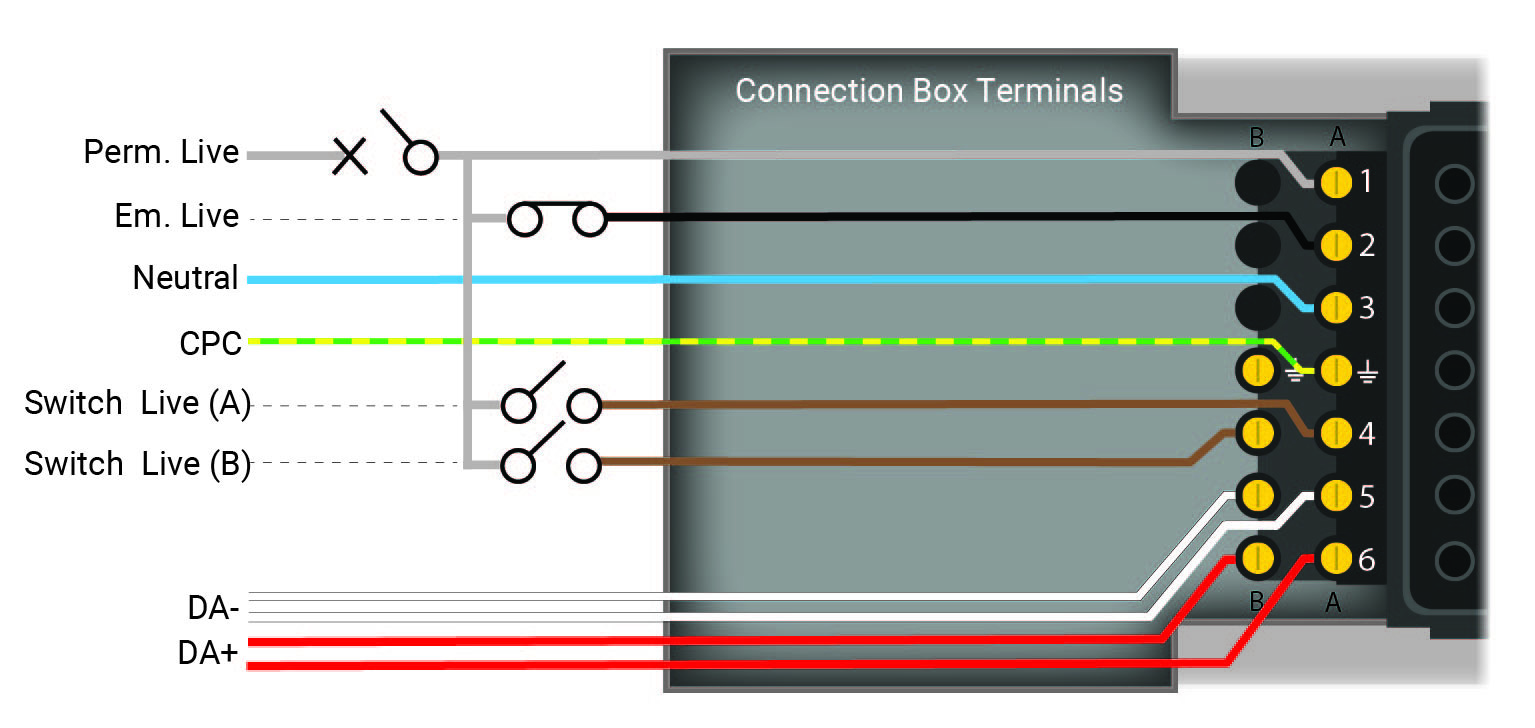 flex7 lighting distribution box wiring configuration for all 10 terminals in a dual control distribution box.