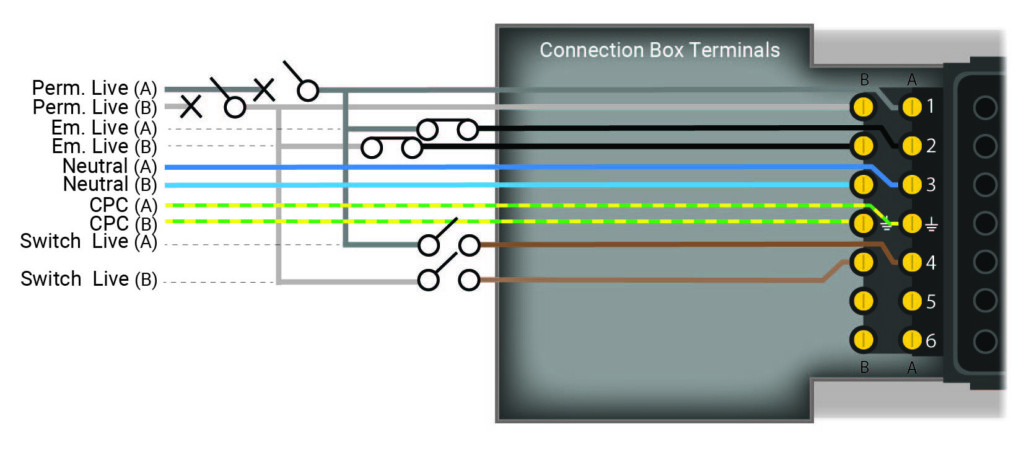 flex7 Dual Supply Box wiring diagram. Using more traditional hard-wired control and emergency luminaire test.