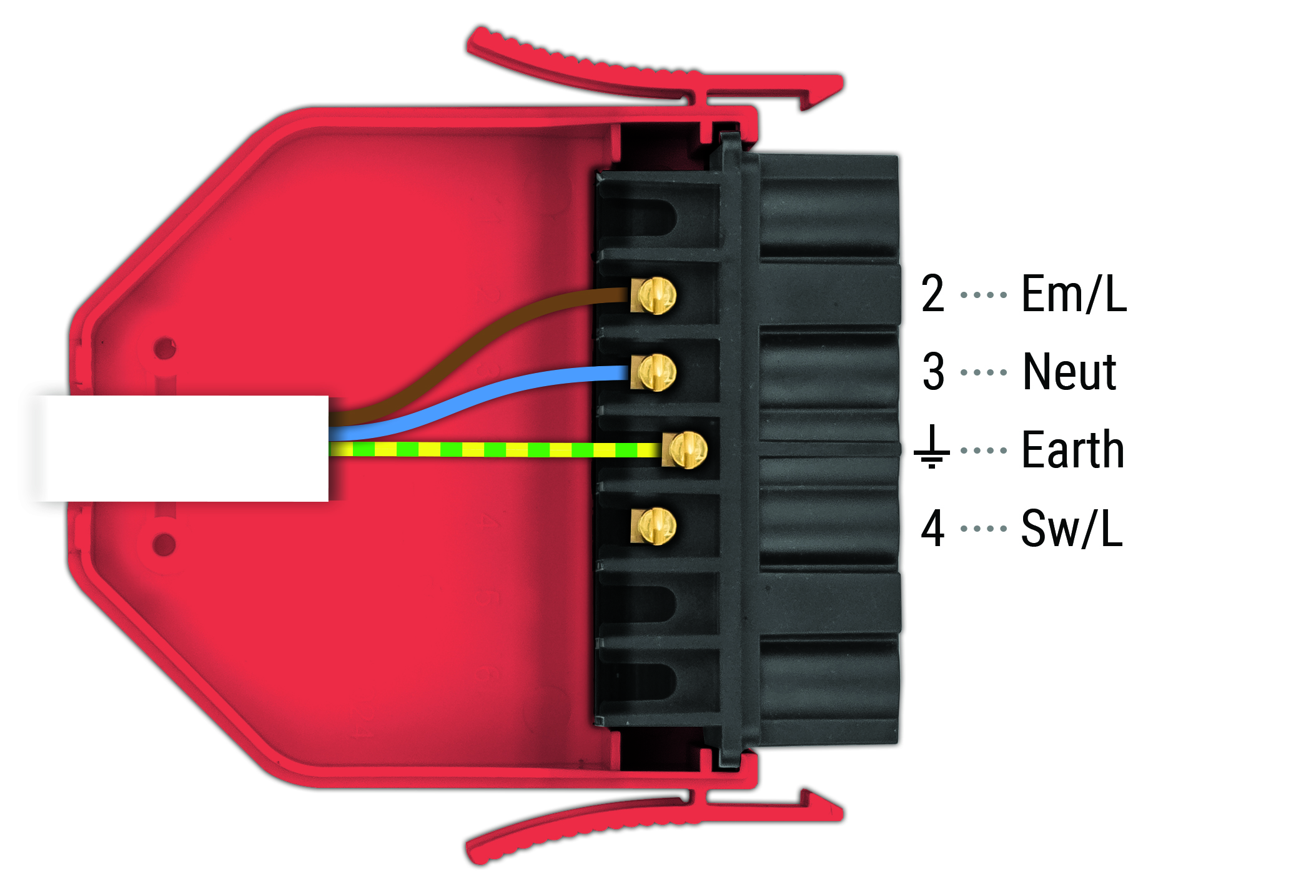 flex7 Non-maintained emergency luminaire lead wiring diagram