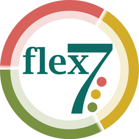flex7 Lighting Controls
