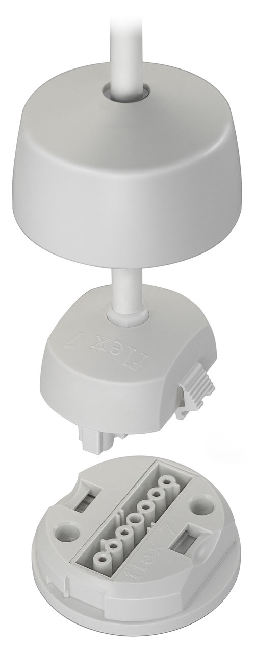 Prota-Plugging-In