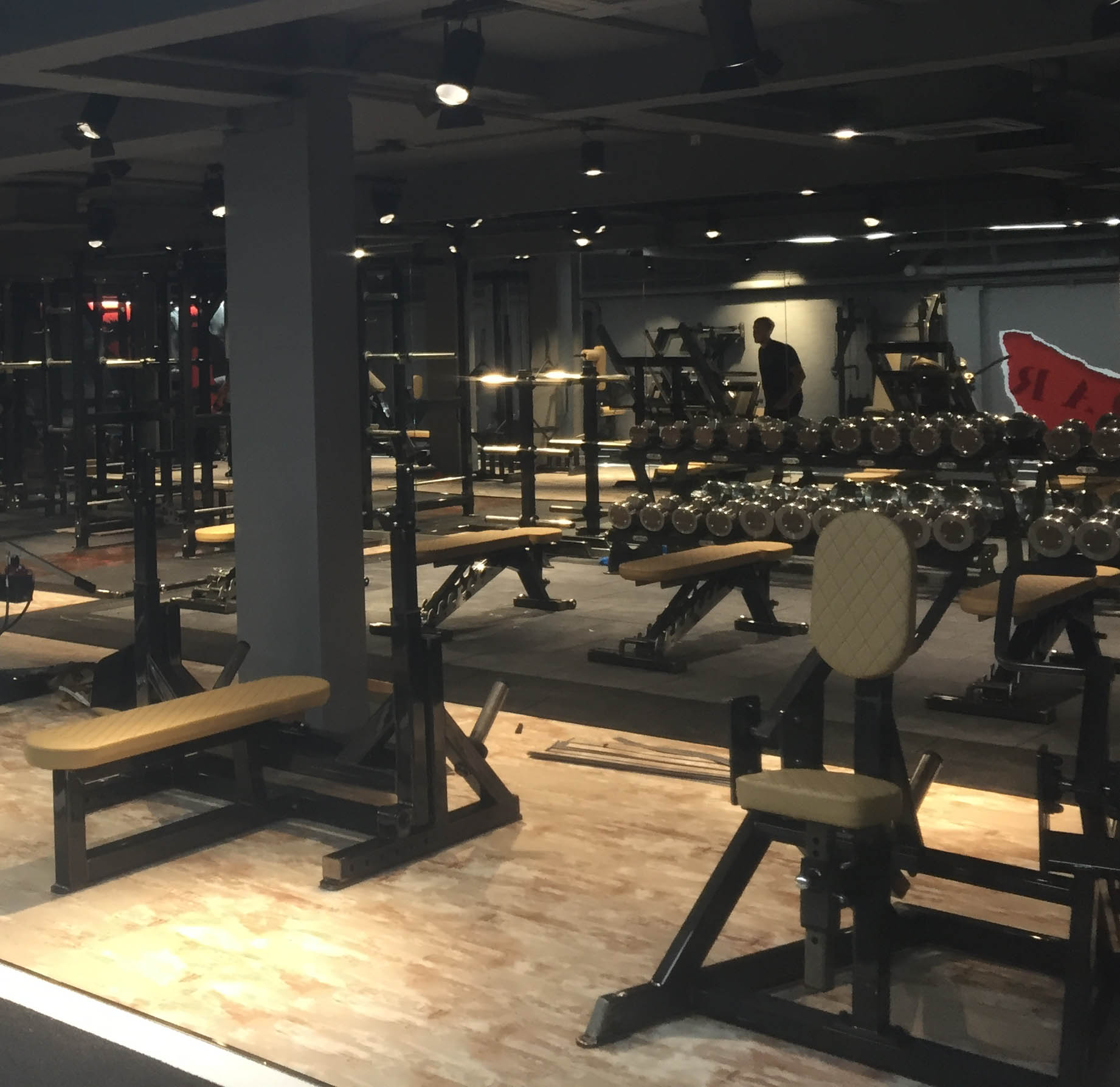 flex7 lighting connection and control installed at ROAR Fitness